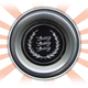 Illustration for article titled This Is Why Many Old Fords Had Badges With Three Cats On Them